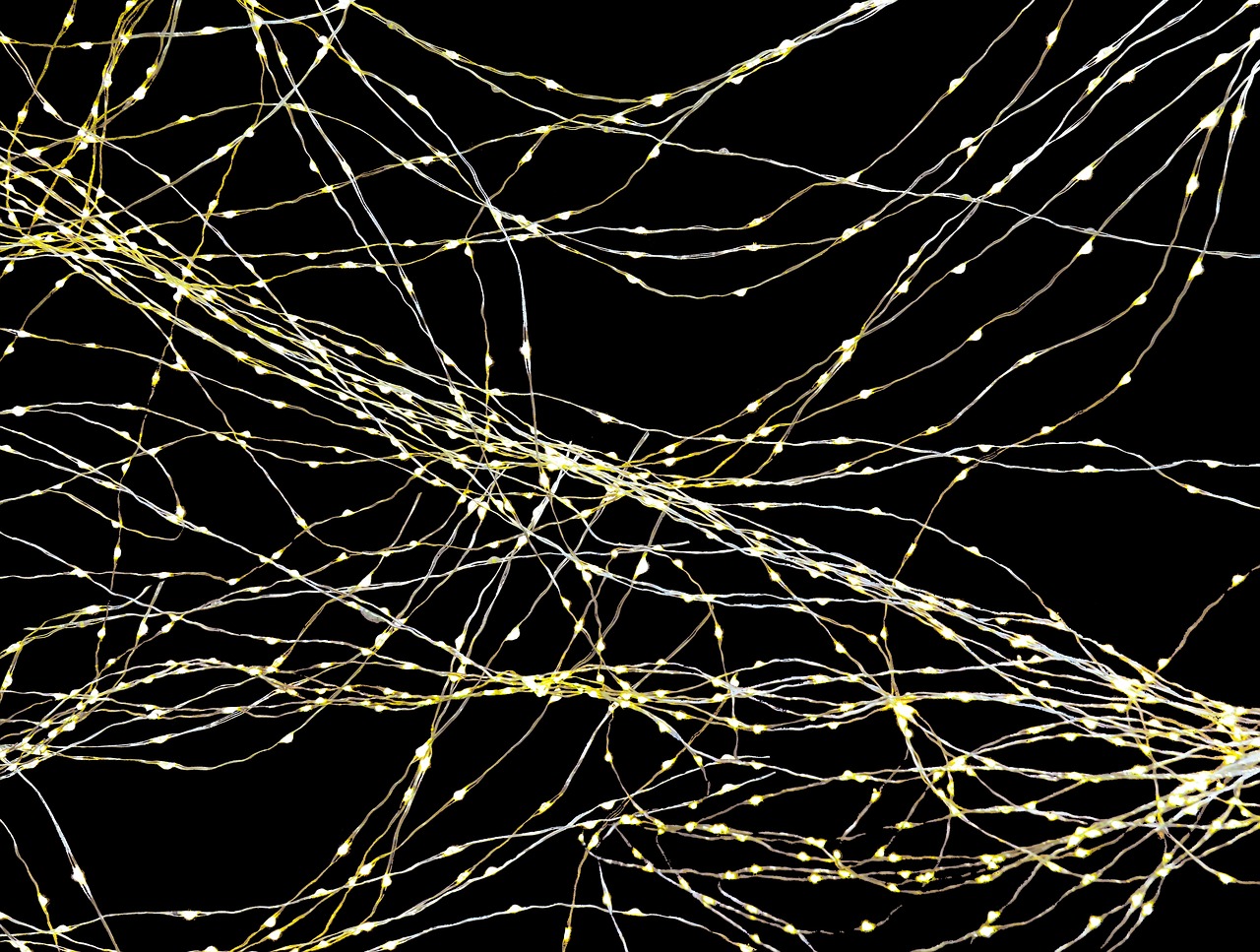 How Does the Brain Achieve Consciousness?